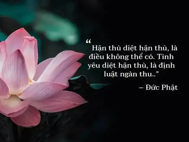 Vô Thường Và Cái Chết Trong Giáo Lý Phật Giáo