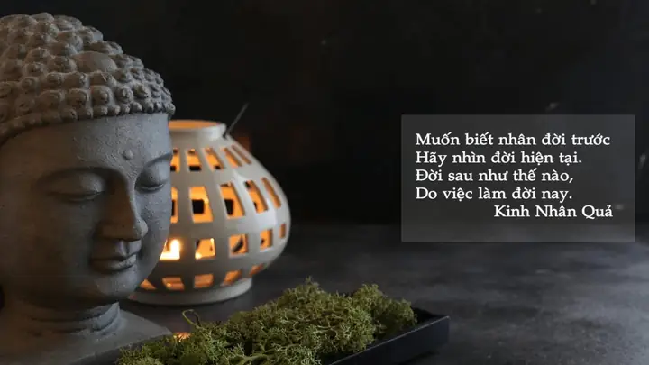 25 Câu Nói Hay Của Phật Về Luật Nhân Quả Báo Ứng Ý Nghĩa