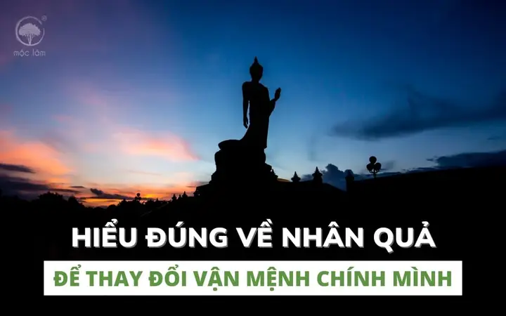 Hiểu Luật Nhân Quả Để Sống Đẹp, Sống Ý Nghĩa Mỗi Ngày