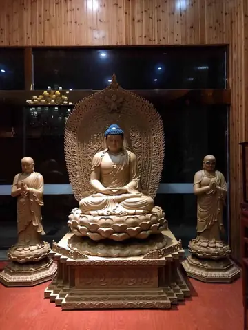 Cây Bồ Đề Phật Ngồi