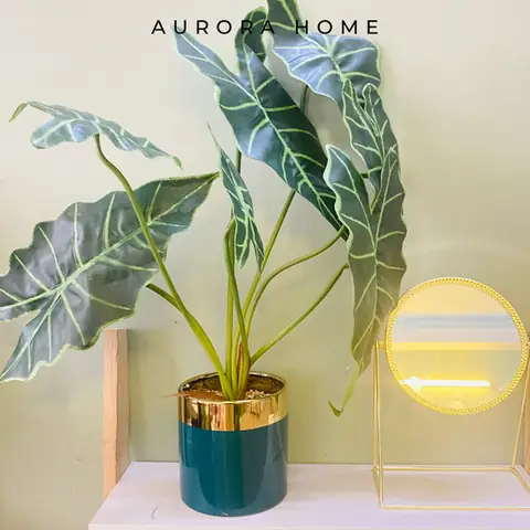 Hình Ảnh Chi Tiết Sản Phẩm Chậu Cây Lá Môn Phật Bà Giả Để Bàn Cao 50cm