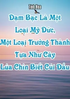 Ảnh Đạm Bạc Là Một Loại Mỹ Đức, Một Loại Trưởng Thành Tựa Như Cây Lúa Chín Biết Cúi Đầu