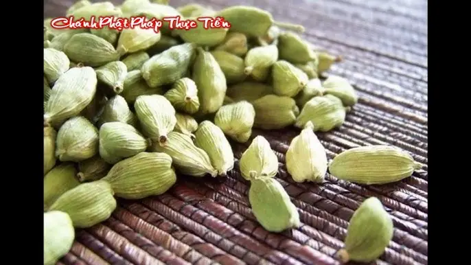 Chánh Phật Pháp Thực Tiễn: Hiểu Và Ứng Dụng Đạo Lý Vào Đời Sống Hàng Ngày