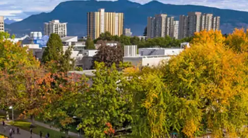 Chánh Phật Pháp Thực Tiễn: Hiểu Và Ứng Dụng Đạo Lý Vào Đời Sống Hàng Ngày