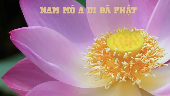 Hình Ảnh Cho Hình Ảnh Có Chữ A Di Đà Phật: