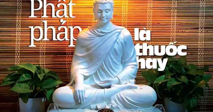 Phật Pháp Là Thuốc Hay | Giác Ngộ Online