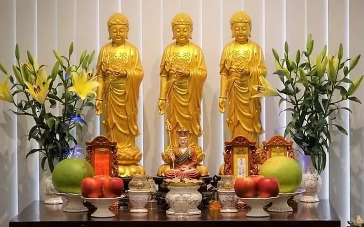 Chữa Bệnh Bằng Phật Pháp - Phật Pháp Vô Biên Như Thế Nào!