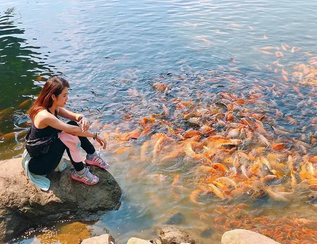 Chùa Phật Lớn An Giang - Ngôi Cổ Tự Nằm Trên Núi Cấm