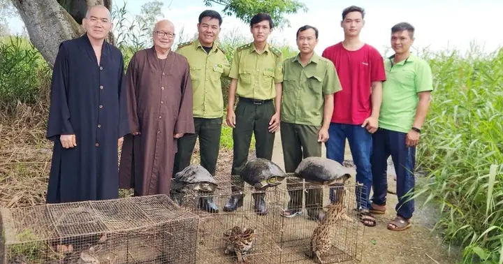 Nhà Chùa Vận Động Giao Nộp, Thả Mèo Rừng, Càng Đước Về Vườn ...