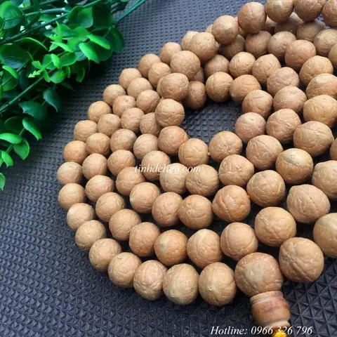 Tràng Hạtkhởi Nguồn Từấn Độvà Đã Trở Thành Một Vật Quan Trọng Trong Đời Sống Tín Ngưỡng, Văn Hóa Của Tín Đồ Các Tôn Giáo Cũng Như Trong Xã Hộiấn Độcổ. Vớiphật Giáo, Chuỗi Tràng Hạt Là Vật Tùy Thân Giúp Cho Hành Giả Dễ Dàng Chú Tâm Vào Đối Tượng Trì Niệm, Đây Cũng Là Một Sợi Dây Xâu Suốt Các Ý Tưởng Thành Một Trật Tự, Rồi Từ Đó Hành Giả Có Thể Đi Sâu Hơn Vào Các Trạng Thái Của Định Để Làm Phát Khởi Tuệ Giác.