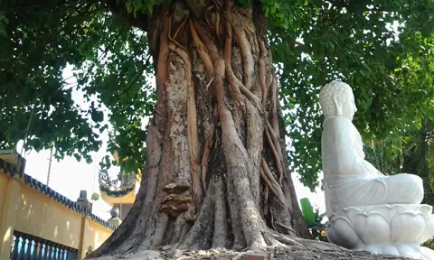 Bi Kịch Về Một Mối Tình Ngang Trái Nơi Cửa Phật