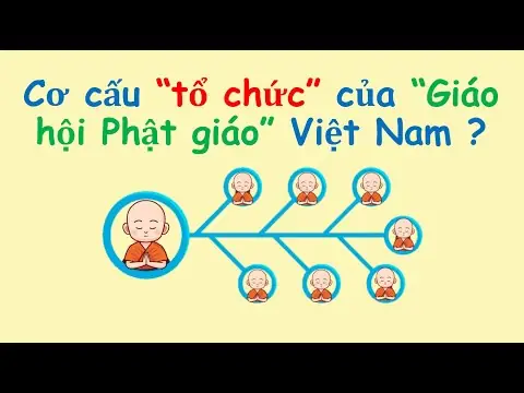 Cơ Cấu Tổ Chức Giáo Hội Phật Giáo Việt Nam Gồm Những Cấp Nào Và Hoạt Động Ra Sao?