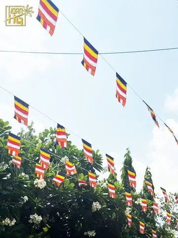 Cờ Dây Phật Giáo 50 Lá
