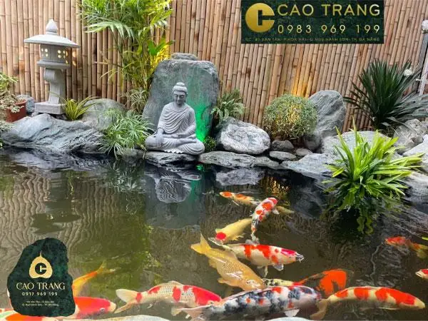 Có Nên Để Tượng Phật Trong Bể Cá? Giải Mã Phong Thủy, Khoa Học Và Những Điều Cấm Kỵ