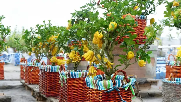 Cách Rán Đậu Phụ Ngoài Giòn Trong Mềm Cực Ngon