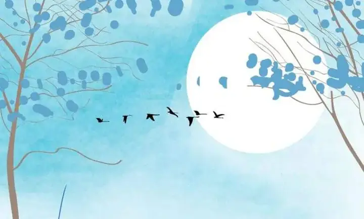 Cõi Phật Đâu Xa: Hành Trình Tìm Về Bản Tâm Từ Kinh Duy Ma Cật