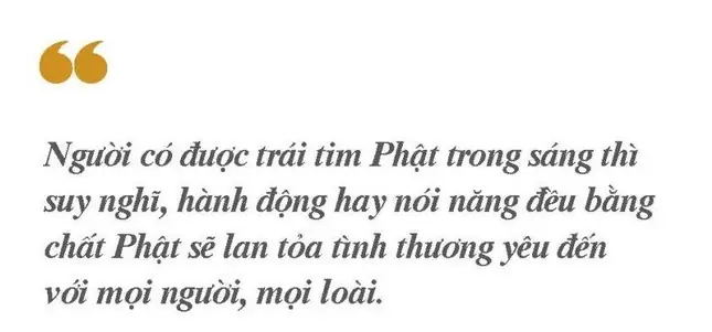 Cõi Phật Ở Đâu
