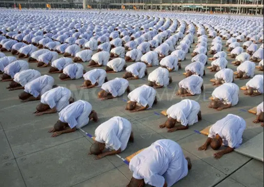 Các Động Tác Lạy Phật (thể Dục Dưỡng Sinh, Nghiên Cứu, Thực Hành Theo ‘bái Phật Và Y Học’ Của Đạo Chứng Pháp Sư, Là Tốt Nhất)