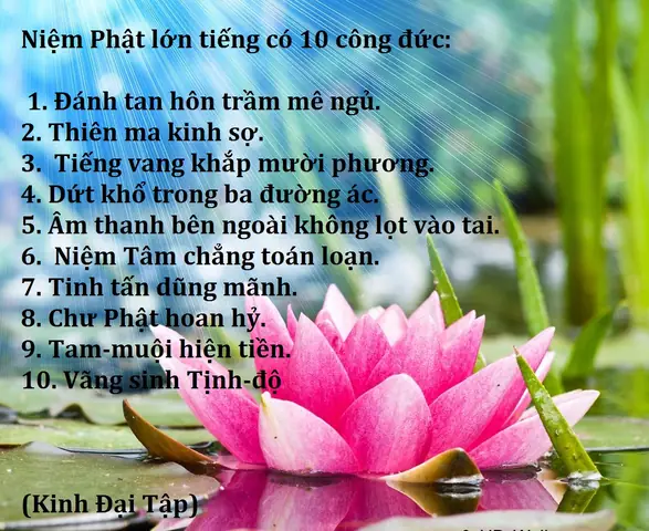 10 Công Đức Niệm Phật Lớn Tiếng | Giác Chúng Sanh Hữu Tình ...