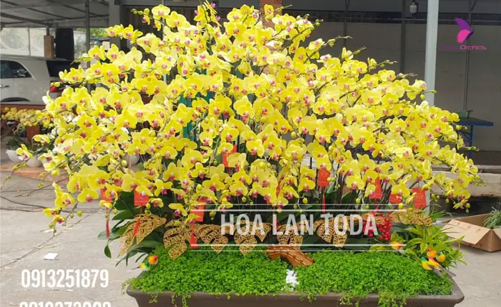 Cúng Hoa Cho Phật