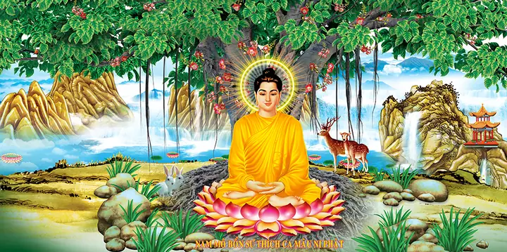 Tóm Tắt Cuộc Đời Đức Phật - Phật Giáo Quận 12