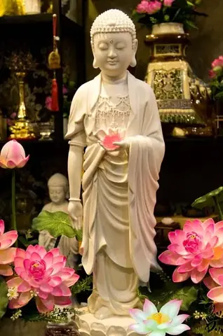 Ý Nghĩa Danh Hiệu Phật A Di Đà Và Quốc Độ Của Ngài Ra Sao?