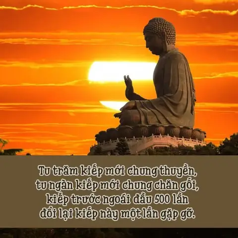 Câu Nói Hay Của Phật Giáo Về Duyên Nợ Con Người