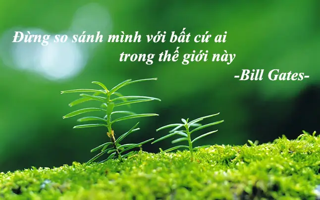Danh Ngôn Phật Pháp: Những Câu Nói Gợi Mở Tâm Hồn, Gieo Mầm An Lạc