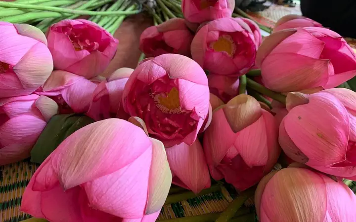 Đặt Tên Theo Phật Giáo