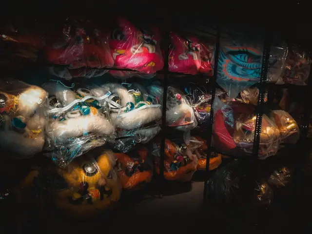 Long Sư Các - Singyivn