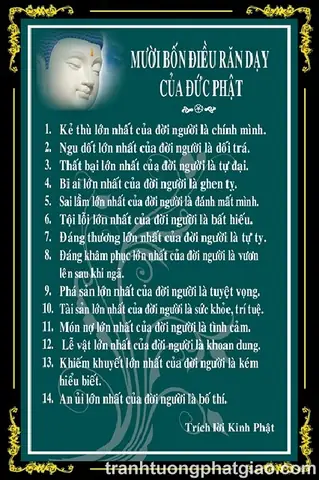 14 Điều Dạy Của Phật Về Cuộc Sống: Bài Học Sống Tâm Lành Và Trí Tuệ