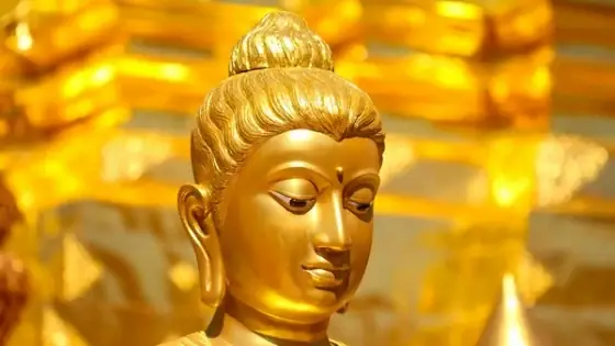 Độ Sinh Và Độ Tử