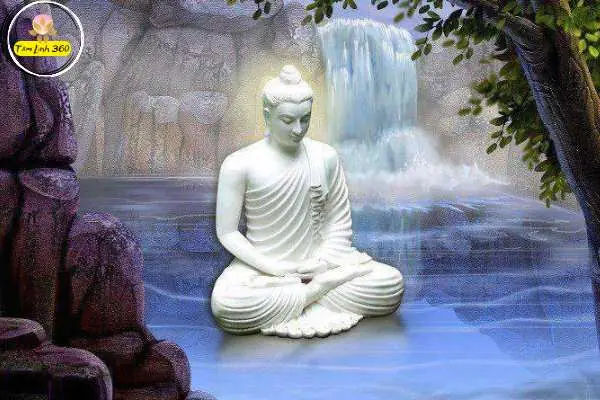 Các Loại Kinh Phật Nên Đọc Mỗi Ngày