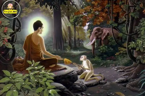 Tác Dụng Khi Nghe Kinh Phật Giảng Giải