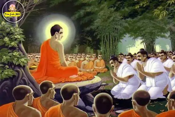 Đọc Đúng Kinh Theo Khả Năng Của Mình