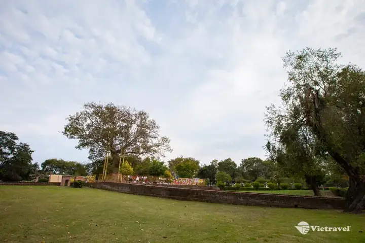 Đặt Tour Hành Hương Đất Phật Ấn Độ | Chiêm Bái Tứ Động Tâm ...