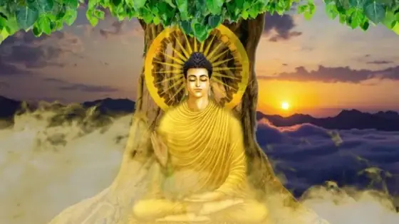 Đức Phật Đã Giác Ngộ Gì?