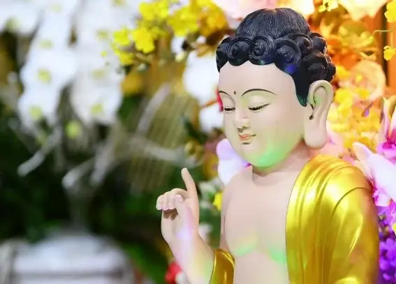 Trong Kinh Điển, Sử Phật Giáo Xác Định Thái Tử Tất Đạt Đa (siddhārtha) Sau Khi Đản Sanh Đi Bảy Bước, Một Tay Chỉ Đất, Một Tay Chỉ Trời, Nhưng Không Nói Rõ Về Chi Tiết Tay Trái Hay Tay Phải?