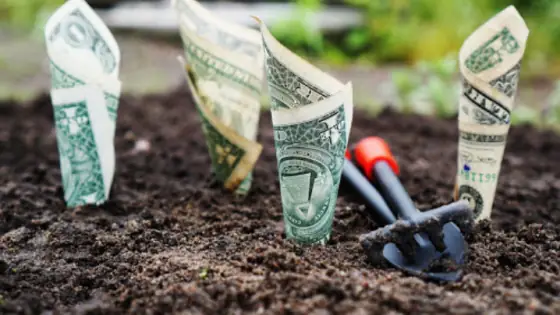 Quan Điểm Của Phật Giáo Về Giá Trị Của Đồng Tiền