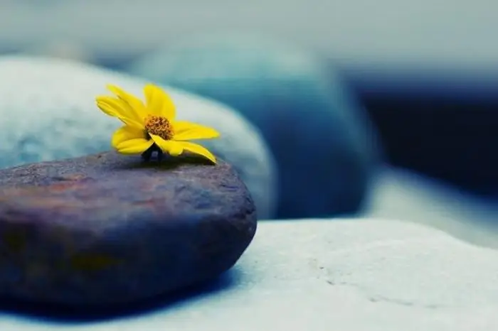 Lời Phật Dạy Về Tham, Sân, Si Của Con Người - Tạp Chí Petrotimes