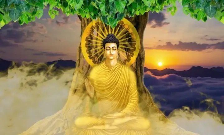 Đức Phật Đã Giác Ngộ Gì?