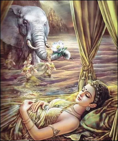 Lựa Chọn Cha Mẹ