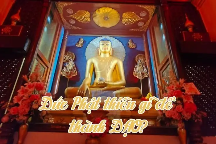 Đức Phật Thiền Gì Để Thành Đạo? - Tạp Chí Nghiên Cứu Phật Học