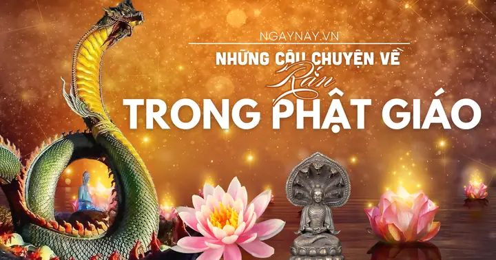 Những Câu Chuyện Về Rắn Trong Phật Giáo