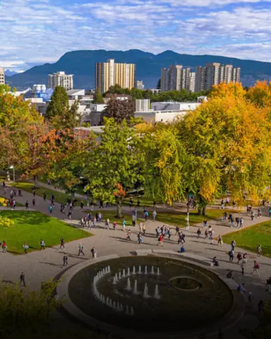 Chánh Niệm Là Nền Tảng Cho Sức Khỏe: Hội Thảo & Tĩnh Tâm ...