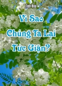 Ảnh Vì Sao Chúng Ta Lại Tức Giận?