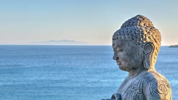 Bản Chất Dục Vọng Và Cách Thức Chuyển Hóa Chúng Đã Được Đức Phật Chỉ Bày Khá Rõ, Vấn Đề Mức Độ Chuyển Hóa Thành Công Hay Không Liên Quan Đến Sự Chuyên Tâm, Nỗ Lực Của Từng Người.