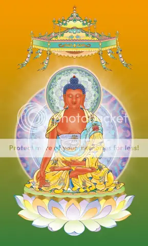 Hình Ảnh: Nam Mô Dược Sư Hải Hội Phật Bồ Tát P5/5 (images Of Namo Medicine Master Assembly Of Buddhas And Boddhissatvas)