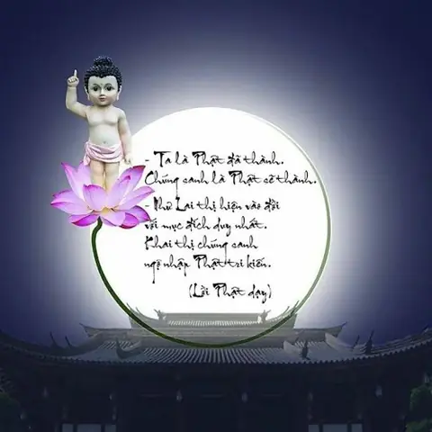 Dược Sư Phật Hoàng Quý Sơn: Tiểu Sử, Công Hạnh Và Những Đóng Góp Cho Phật Giáo Việt Nam