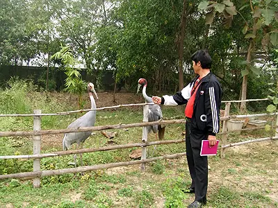 Đường Về Đất Phật